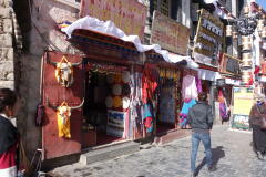DSC07502